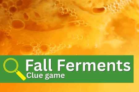 Quiz: Fall Ferments Image